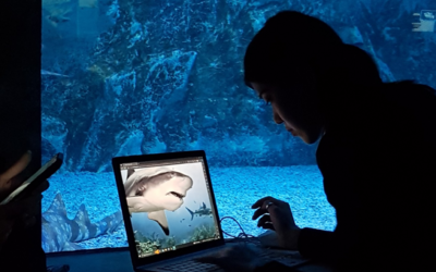 Es ist dunkel. Vor einem beleuchteten großen Aquariumfenster sitzt ein Mädchen mit einem Laptop. Auf dem Bildschirm ist ein Hai zu sehen.
